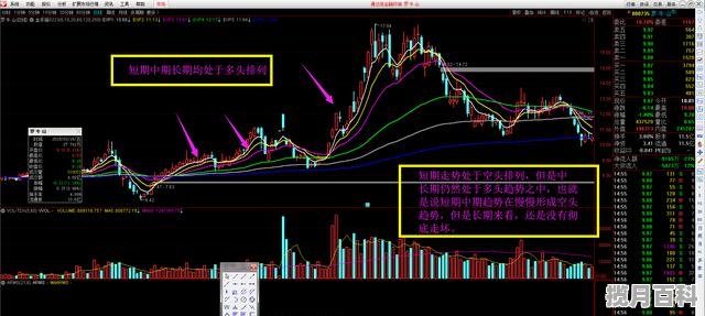 刘德华得奖电影七部_2021年亚洲电影排行榜前十名