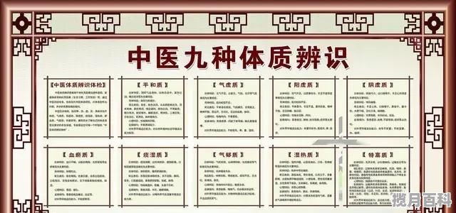 如何通过饮食来养生 饮食与养生