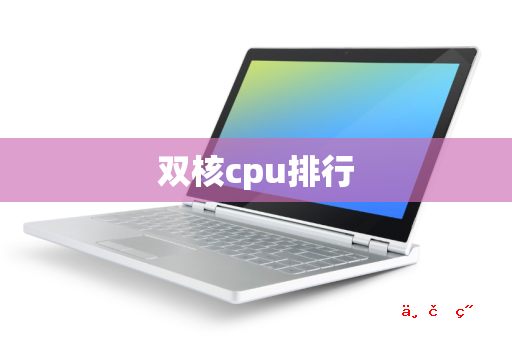 双核cpu排行