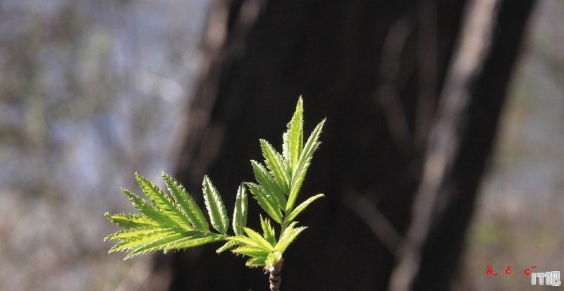 战区2崩溃处理器怎么办