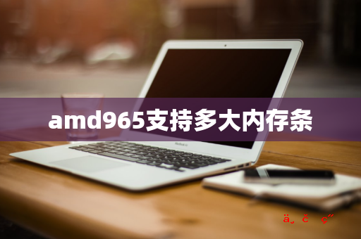 amd965支持多大内存条