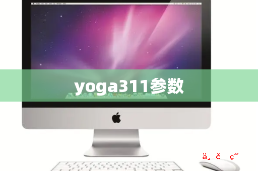 yoga311参数