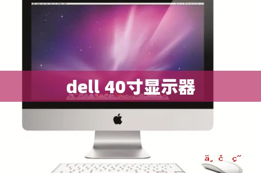 dell 40寸显示器