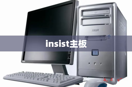 insist主板