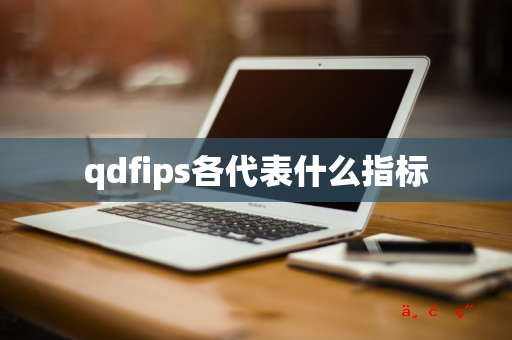 qdfips各代表什么指标