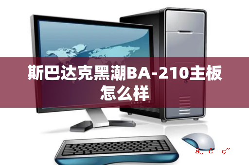 斯巴达克黑潮BA-210主板怎么样