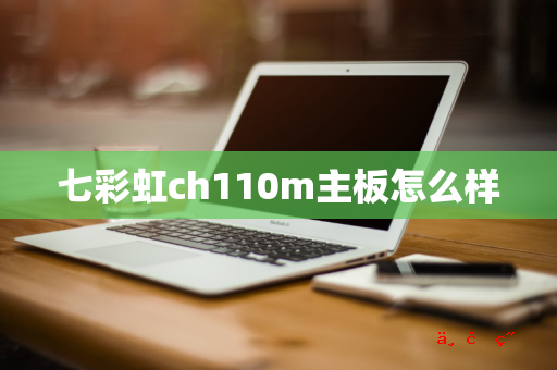 七彩虹ch110m主板怎么样