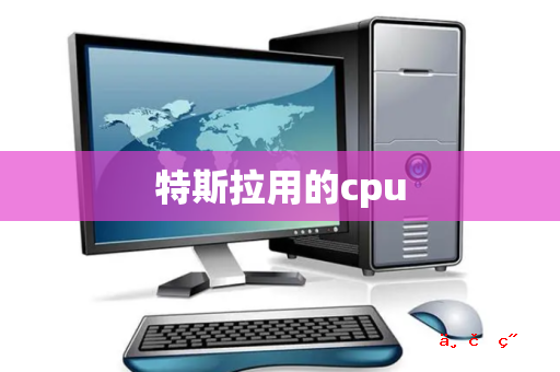 特斯拉用的cpu