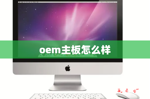 oem主板怎么样