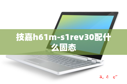 技嘉h61m-s1rev30配什么固态