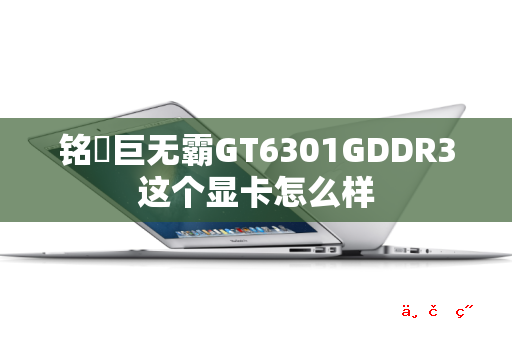 铭瑄巨无霸GT6301GDDR3这个显卡怎么样