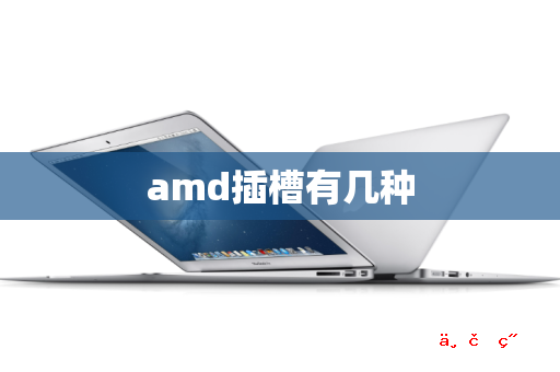 amd插槽有几种