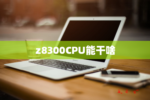 z8300CPU能干啥