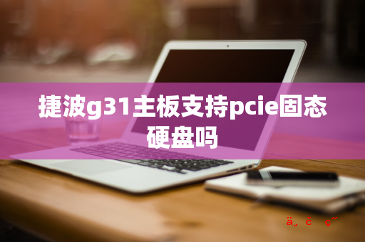 捷波g31主板支持pcie固态硬盘吗