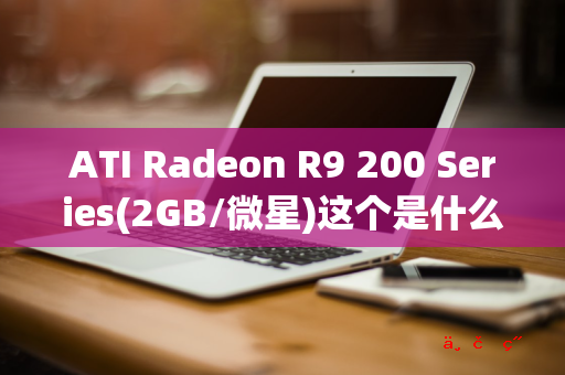 ATI Radeon R9 200 Series(2GB/微星)这个是什么档次的显卡