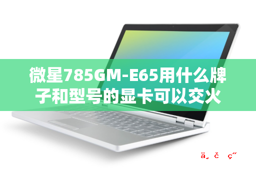 微星785GM-E65用什么牌子和型号的显卡可以交火