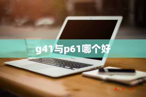 g41与p61哪个好