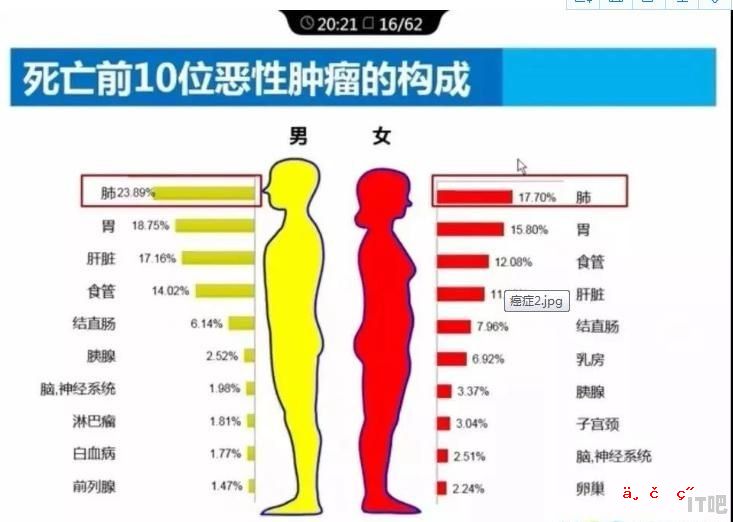 澳门电脑包膜品牌有哪些 - IT吧