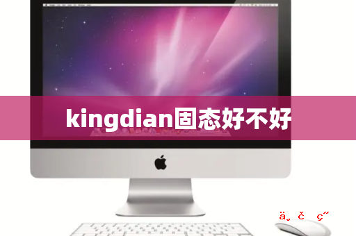 kingdian固态好不好