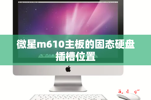 微星m610主板的固态硬盘插槽位置