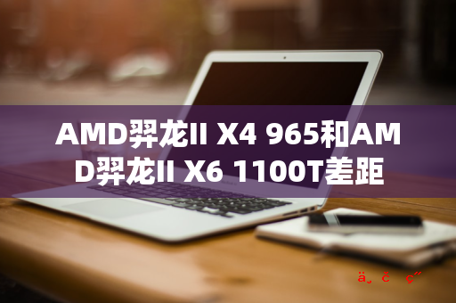 AMD羿龙II X4 965和AMD羿龙II X6 1100T差距