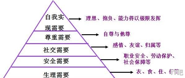 丛林法则拼装图纸过程