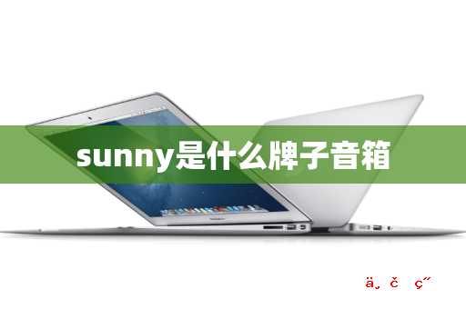 sunny是什么牌子音箱