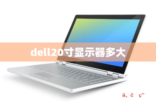 dell20寸显示器多大