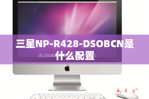 三星NP-R428-DSOBCN是什么配置