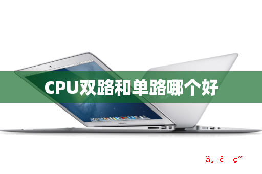 CPU双路和单路哪个好