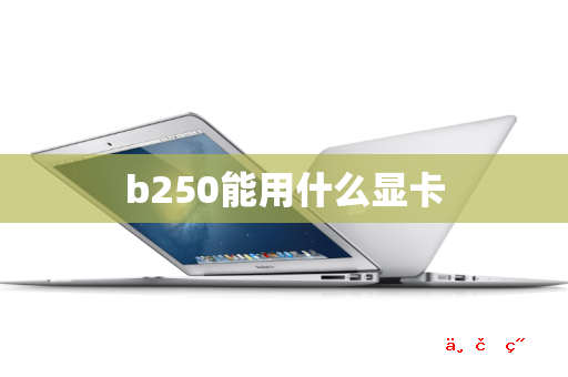 b250能用什么显卡