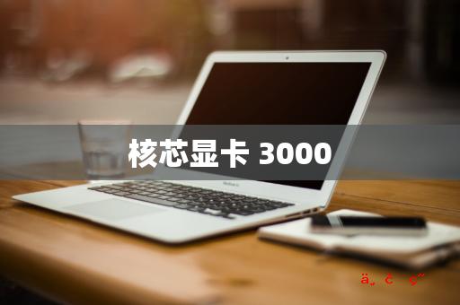 核芯显卡 3000