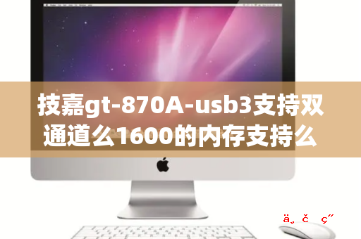 技嘉gt-870A-usb3支持双通道么1600的内存支持么