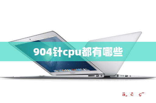 904针cpu都有哪些