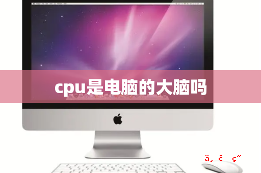 cpu是电脑的大脑吗