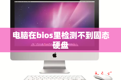 电脑在bios里检测不到固态硬盘