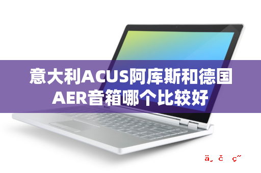 意大利ACUS阿库斯和德国AER音箱哪个比较好