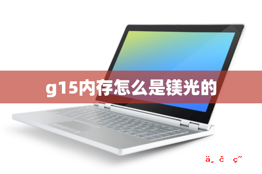 g15内存怎么是镁光的