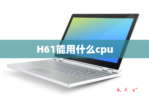 H61能用什么cpu