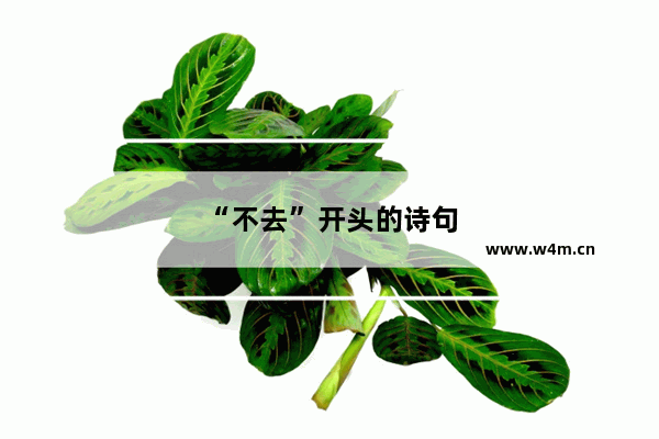 “不去”开头的诗句