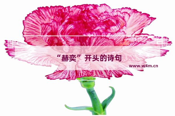 “赫奕”开头的诗句