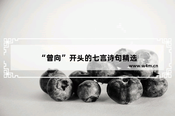 “曾向”开头的七言诗句精选