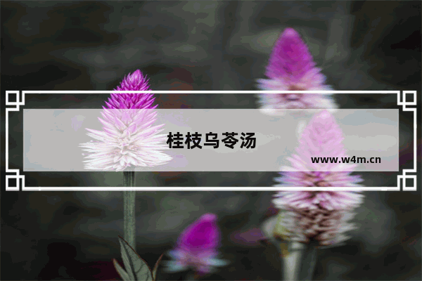 桂枝乌苓汤