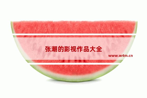 张潮的影视作品大全