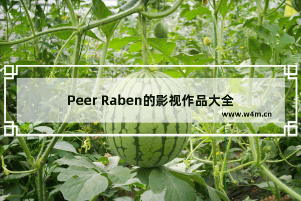 Peer Raben的影视作品大全