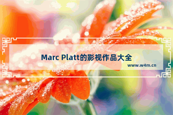 Marc Platt的影视作品大全