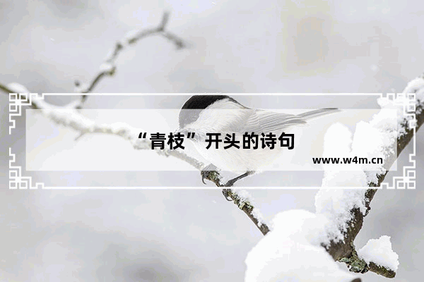 “青枝”开头的诗句