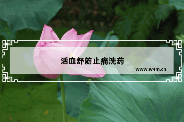 活血舒筋止痛洗药