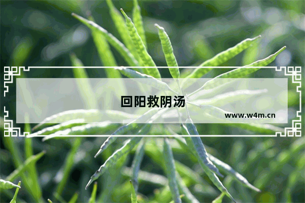 回阳救阴汤