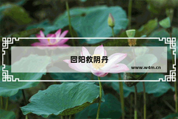 回阳救阴丹